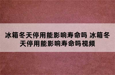 冰箱冬天停用能影响寿命吗 冰箱冬天停用能影响寿命吗视频